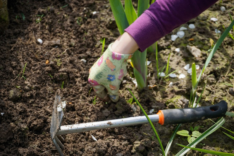 mulchlaag, onkruidgroei, tuin, verwijderen, voordelen